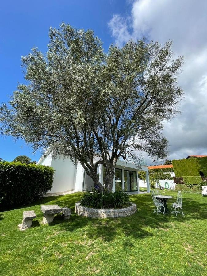 Fonte Do Forno Villas Afife Kültér fotó