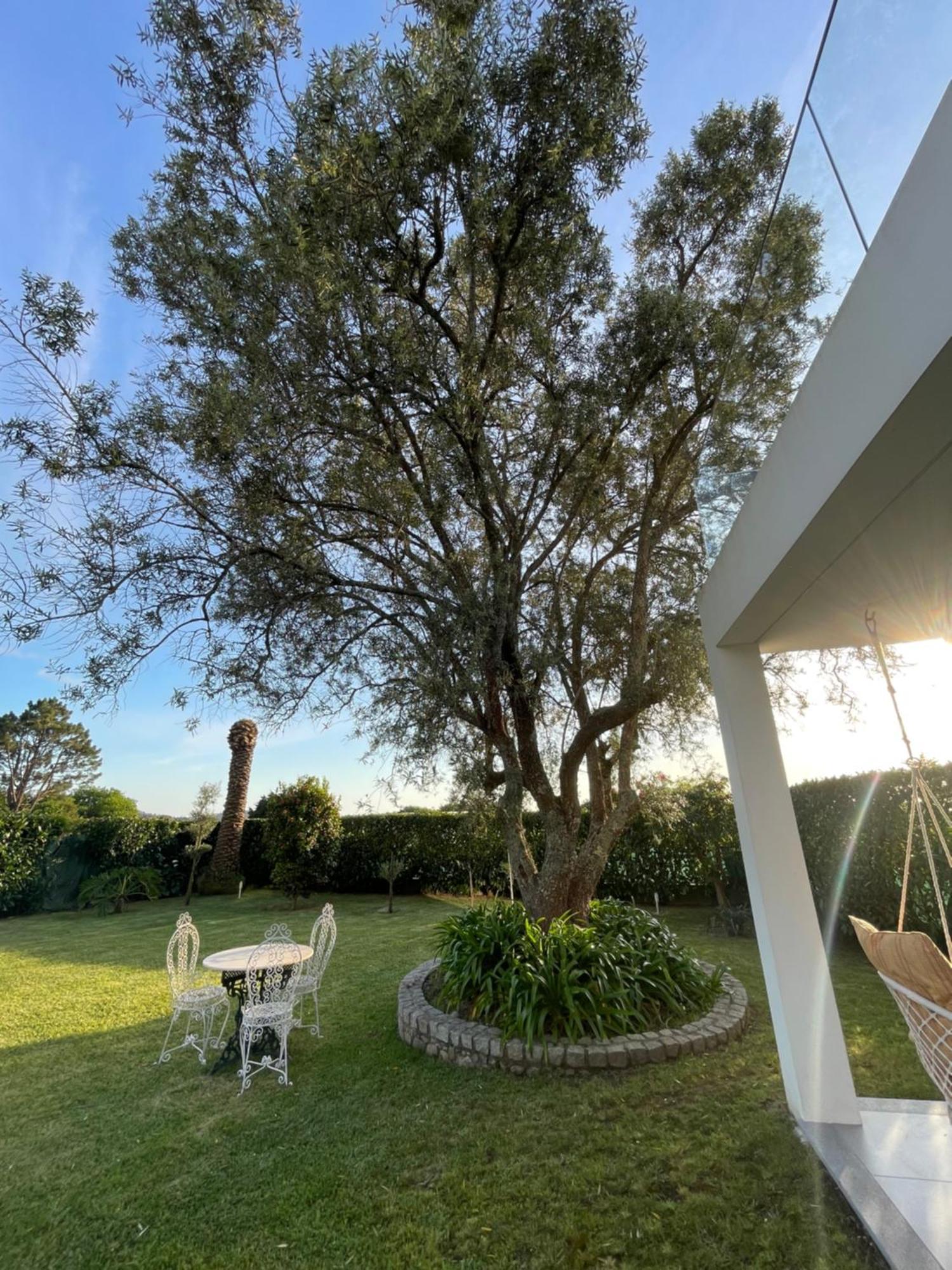 Fonte Do Forno Villas Afife Kültér fotó